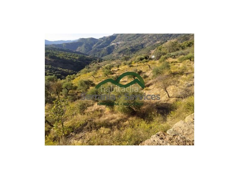 Foto 5d6ed4a8-3f17-4e92-9906-a86465eb2e21. Casa terreno rústica de almendros, higueras y olivar, buena ubicación en Atajate