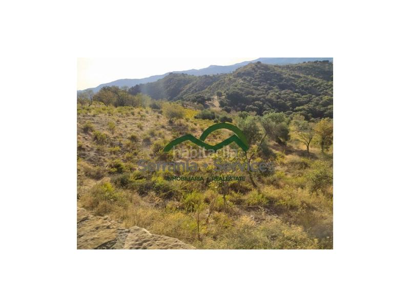 Foto 83f1e26a-0d34-41ca-ad6c-27b58796a40a. Casa terreno rústica de almendros, higueras y olivar, buena ubicación en Atajate