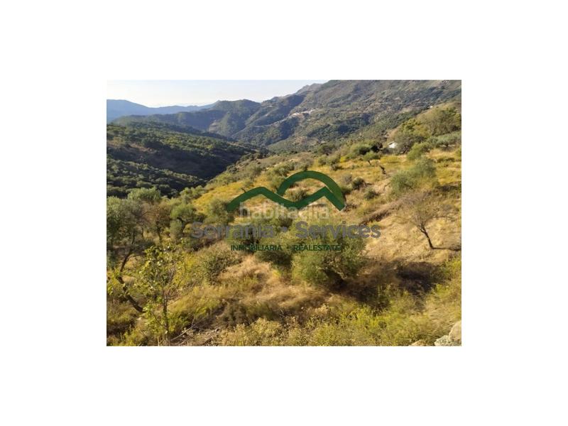 Foto 96ac2cbf-9c7e-4b90-b3b1-164231cc4513. Casa terreno rústica de almendros, higueras y olivar, buena ubicación en Atajate