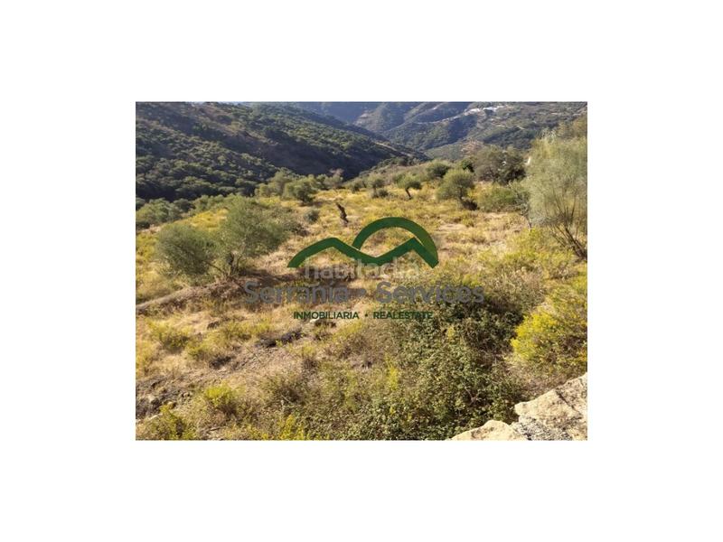 Foto 9f804919-6609-407f-849a-07ae981d1d94. Casa terreno rústica de almendros, higueras y olivar, buena ubicación en Atajate