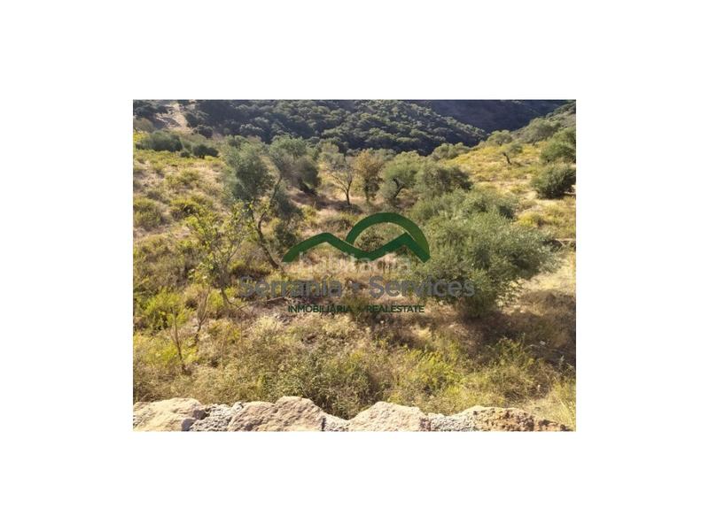 Foto e6183292-17cf-4df2-8b45-07714d827e77. Casa terreno rústica de almendros, higueras y olivar, buena ubicación en Atajate