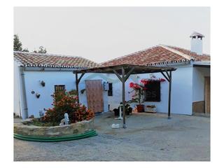 Casa a Casco Histórico. Finca con 2 viviendas, 24 hectáreas, pequeña viña