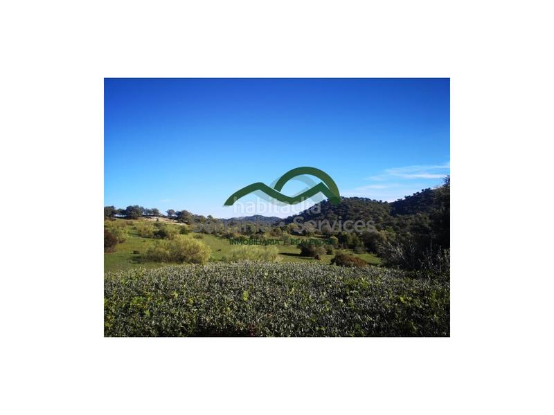 Foto a9f12d87-38e5-43a6-be67-71a59472a151. Casa  de campo 7 dormitoriospiscina casa huespedes16 has en Gaucín