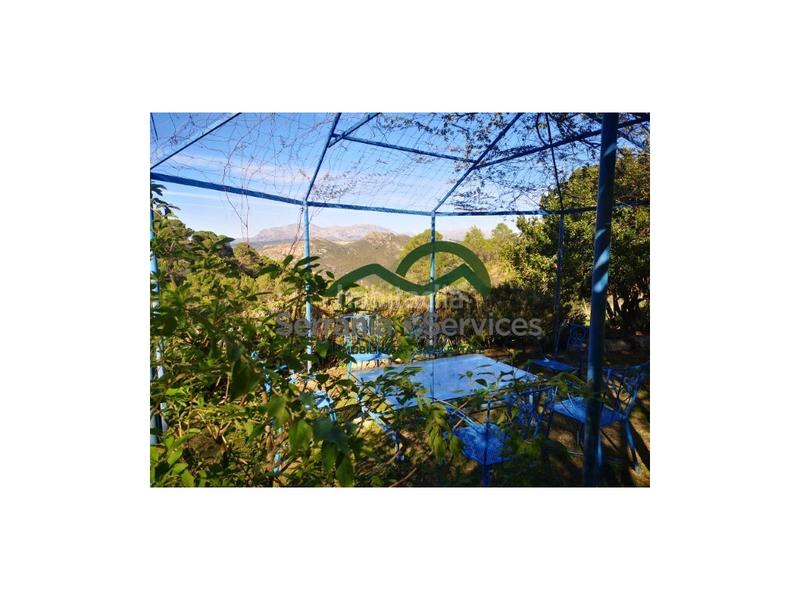 Foto c2a8b8e3-ee86-4ecb-9c95-38f28c7d6876. Casa  de campo 7 dormitoriospiscina casa huespedes16 has en Gaucín