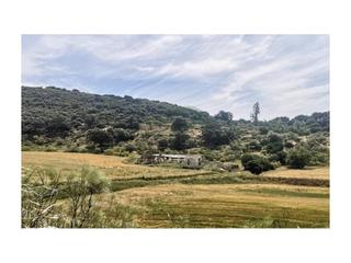 Masia a Torre Alháquime. Finca 90 has, cortijo, anexos, proyecto agrohotel