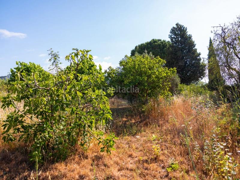 Foto 48ddf350-2180-4e6c-a0e4-8a7abf1caccb. Maison dans Partidas Norte Ronda