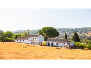 Mas à Partidas Norte. Cortijo 8 dormitorios, naves, piscina  parcela 1.4 ha.
