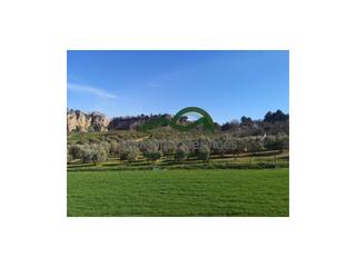 Mas à La Ciudad. Casa de campo, piscina, olivar y tierras de labor