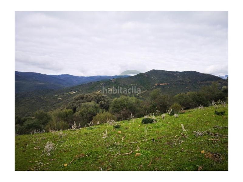 Foto 4d9b75f3-a370-45bf-9dd6-8b864be1d222. House in Gaucín