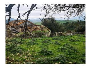 Casa a Gaucín. Finca 483.220m2, cortijo para reformar