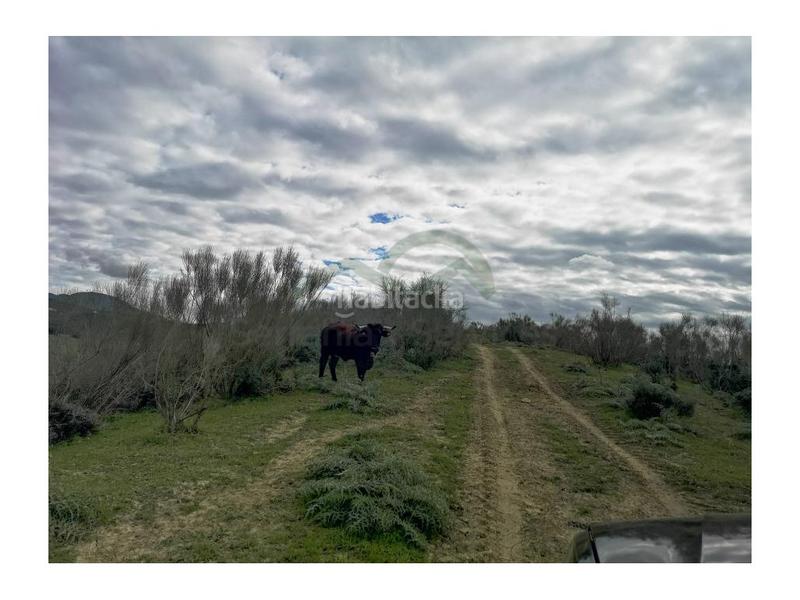 Foto a9c2ce78-b242-401e-9389-33fb8e61599c. House in Gaucín