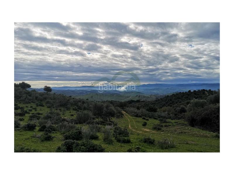 Foto adb02382-19b8-4403-a710-0e5656d3250b. House in Gaucín