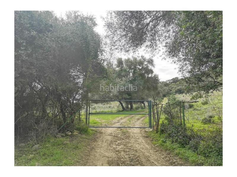 Foto aee24f85-5ac8-49e4-9ecd-9f1763470de8. House in Gaucín