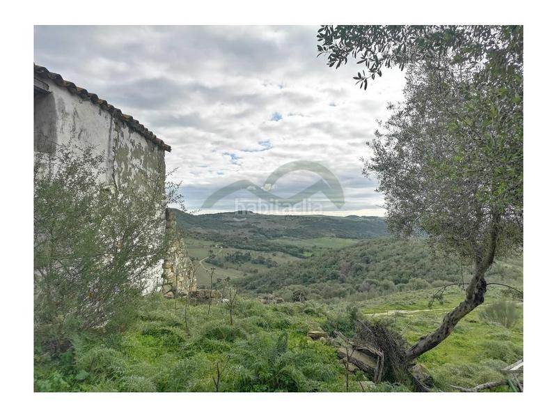 Foto afe1722e-c688-4432-9675-9d5576852b5d. House in Gaucín