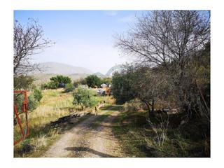 Casa a Zahara. Finca 25 hectáreas, pozo, cercada