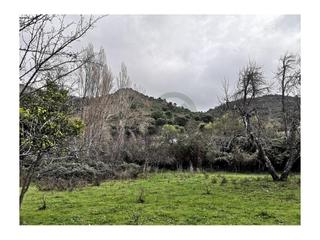 Casa a Algatocín. Parcela de tierra de 4 hectáreas con finca.