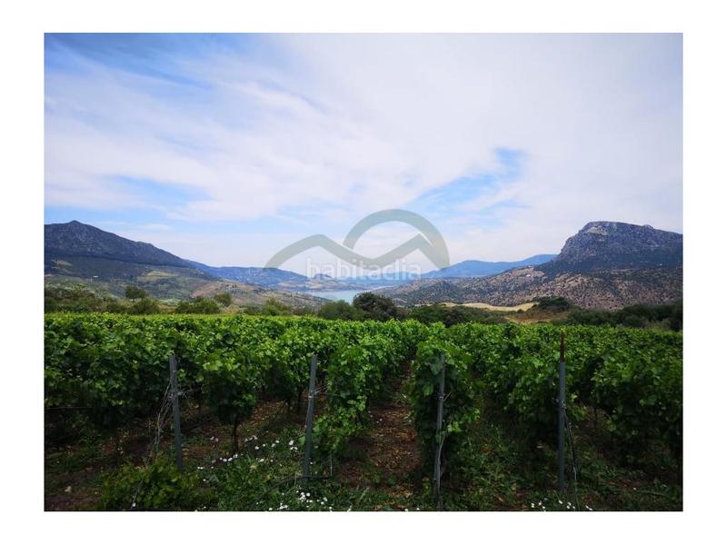 Foto 1ee50673-91cd-4c33-82ba-7ff9f9a43cd0. Casa a Centro Ronda