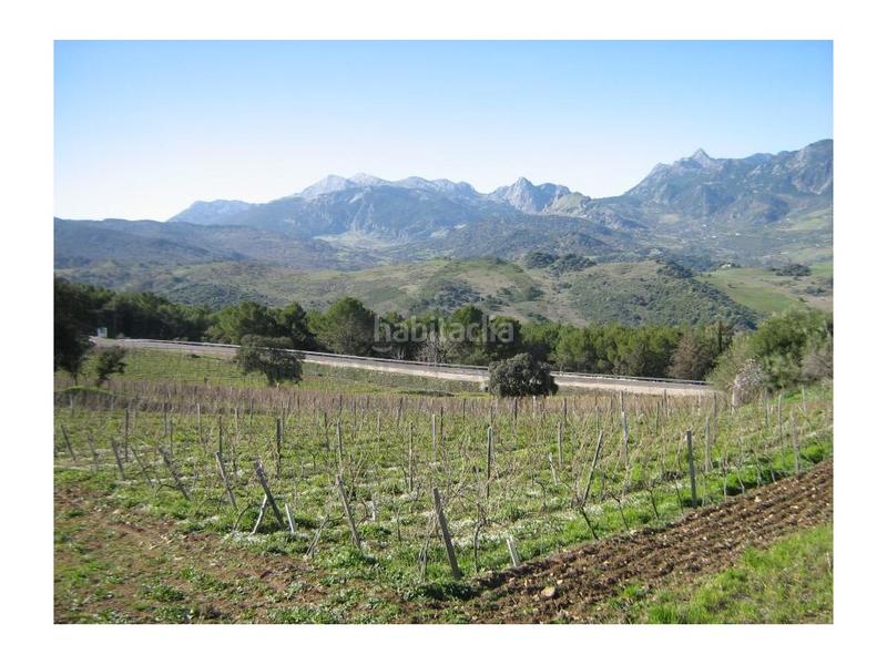 Foto 5367ab79-3581-4591-a69a-38d13858bcb3. Casa a Centro Ronda