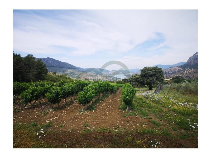 Foto 7598ae7b-ff76-4fbf-a1bf-cd58e1255420. Casa a Centro Ronda