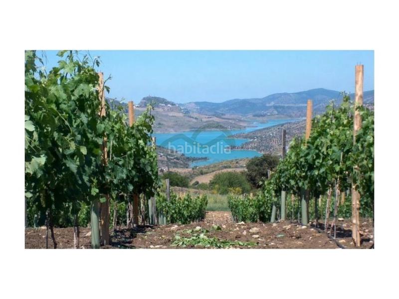 Foto d256b392-8680-4a84-80ac-8e648d8d0acc. Casa a Centro Ronda