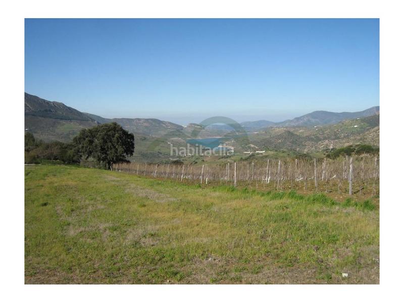 Foto e715b98b-f817-4265-9d45-21406b6bba0d. Casa a Centro Ronda