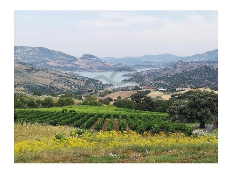 Foto f374f4e2-1035-4447-8e15-e8a154925a09. Casa a Centro Ronda