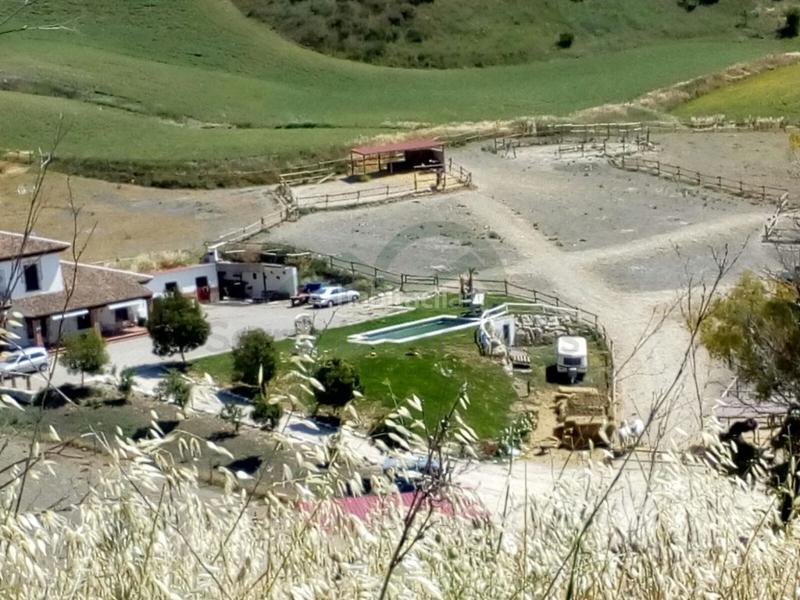 Foto 04d9b084-23cc-41aa-b5a9-beb9c6e270cd. Casa finca ecuestre, casa 7 dorm, piscina, establos en Ronda