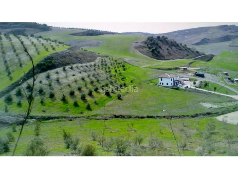 Foto 9792adb3-dd14-4007-a916-d28d9927a199. Casa finca ecuestre, casa 7 dorm, piscina, establos en Ronda