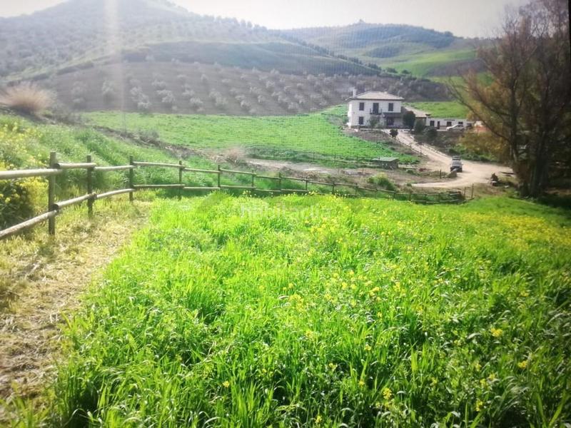 Foto c78e65d9-9956-42bd-8c05-d557a86a17f1. Casa finca ecuestre, casa 7 dorm, piscina, establos en Ronda