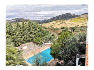 Casa en Partidas Norte. Finca, 2 casas, piscina y nave.