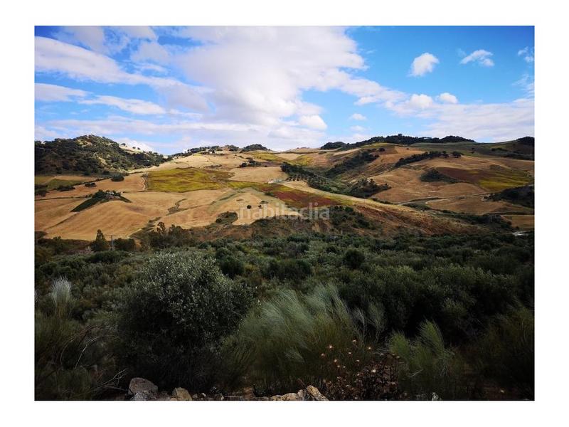 Foto fe462da6-7e92-43cc-b80c-8a6954526801. Maison dans Partidas Norte Ronda