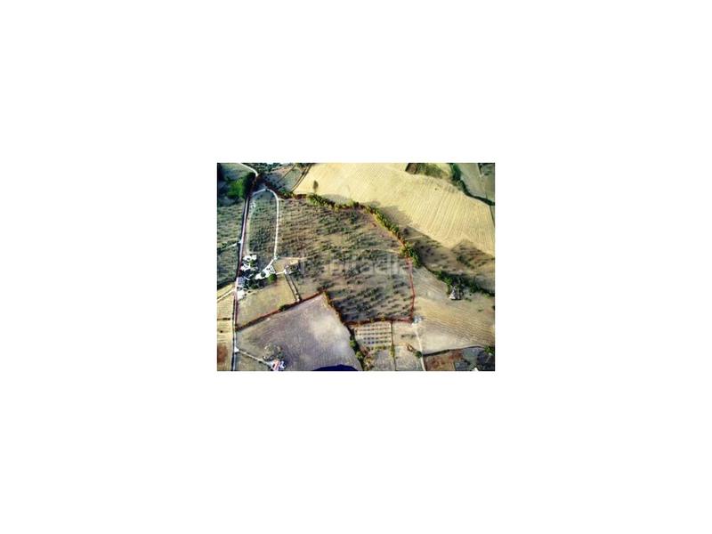 Foto 01c3e31d-2ce1-4e0b-9a16-4a0065fe2110. Chalet in Partidas Norte Ronda