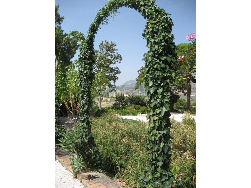 Foto 3d88a16d-f885-41f3-8d91-e78b1097cdce. Chalet in Partidas Norte Ronda