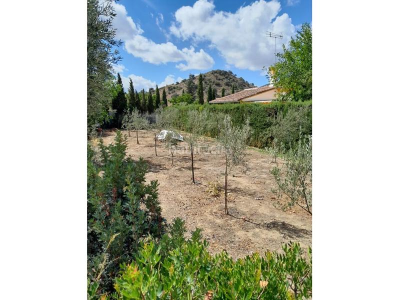 Foto 8f75bd90-3eef-49e8-bacb-b39995c65334. Mas dans Olvera