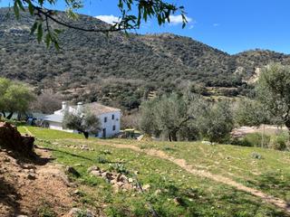 Mas  N/a. Finca rustica ronda