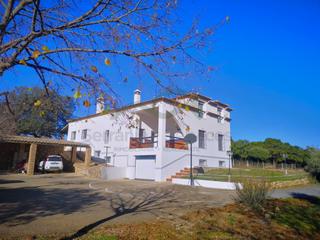 Mas à Centro. Casa de campo, 4 dormitorios, 4 baños, piscina, jardín, olivos,