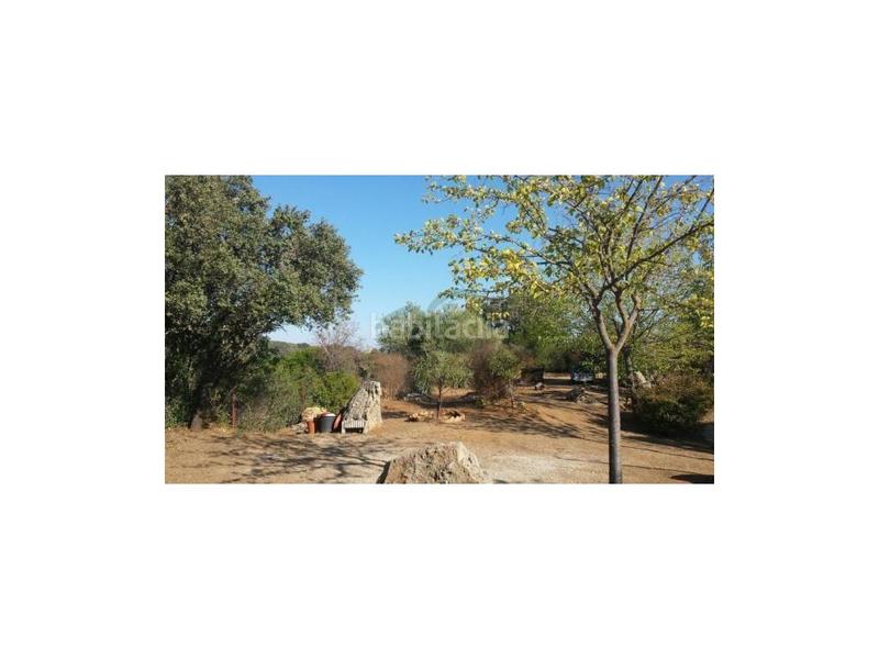 Foto 2d0c1274-9523-47d0-98cd-b6e2b20e9d07. Bauernhof in Centro Ronda