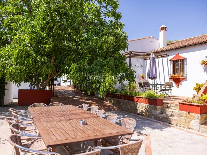 Foto 61ae18ae-5a8b-4f4e-add5-3b5abe2737f5. Geschäftsraum in Montejaque