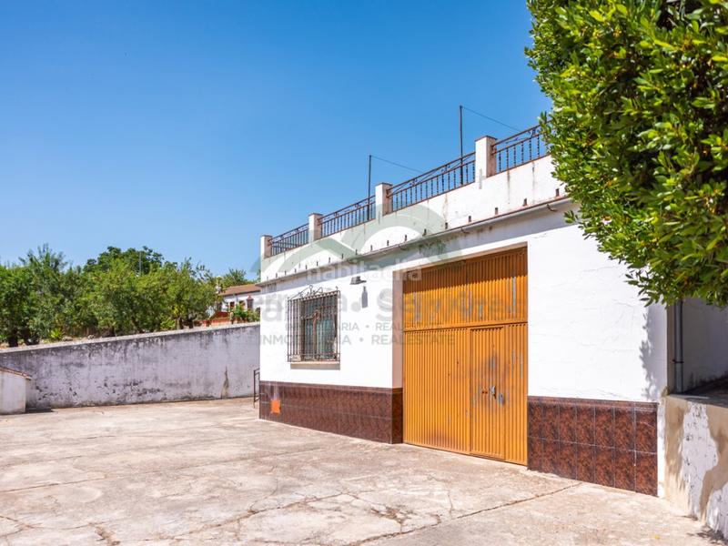 Foto 742841b4-e57a-42e2-8724-ea88fe097771. Geschäftsraum in Montejaque