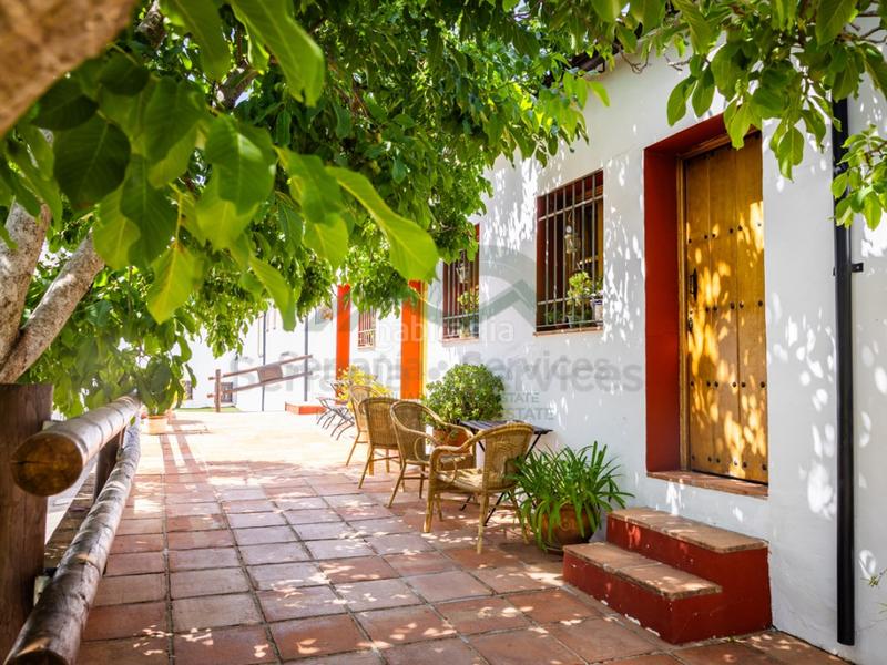 Foto 88dd9b20-abac-493c-ad9e-e45656b745f3. Geschäftsraum in Montejaque