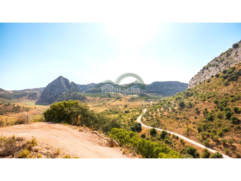 Foto 9df29ad1-867a-4614-b3d5-ec2c0c7143a6. Geschäftsraum in Montejaque