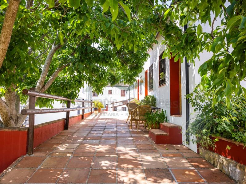 Foto c21c057d-f810-4c8d-91c5-0e814771dadc. Geschäftsraum in Montejaque