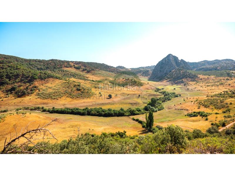 Foto c3838b4d-5307-40d5-ac9f-e909af8e02f2. Geschäftsraum in Montejaque