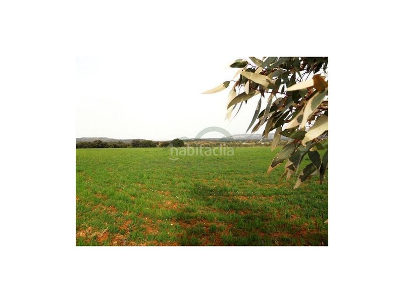 Foto 4a790ed0-20bd-400d-97b7-7c47c92b16e0. Terreny residencial a Arriate