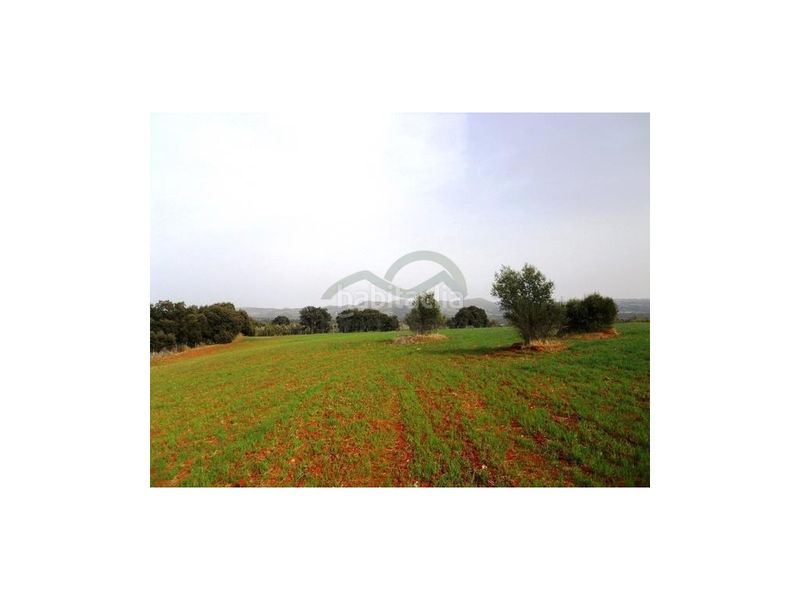 Foto 4fd8a937-2bb2-444e-86ce-805c6c98e407. Terreny residencial a Arriate