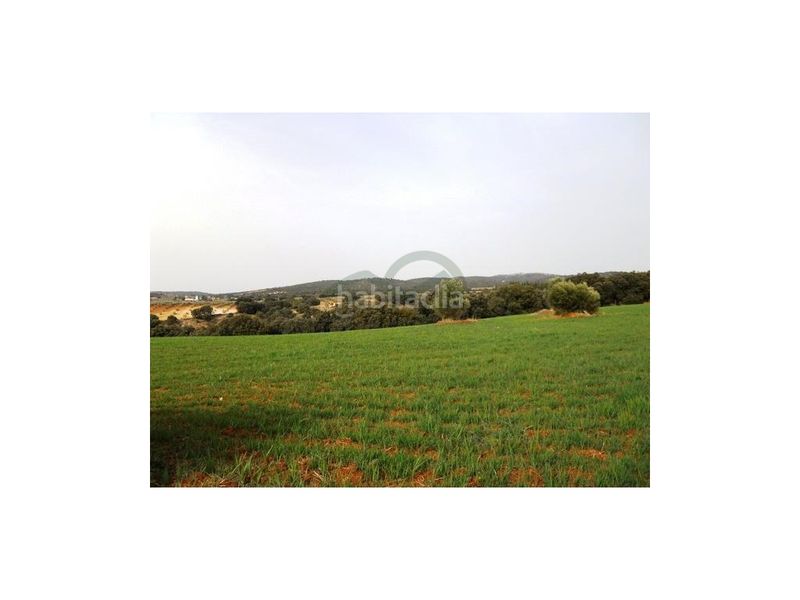 Foto 763fb9b2-8fec-470d-b5d3-6459f32029fb. Terreny residencial a Arriate