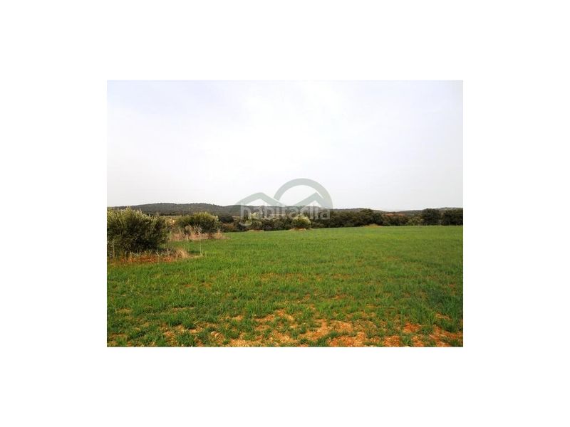 Foto 78d974f4-861c-42c5-acd9-c54d94de9c33. Terreny residencial a Arriate