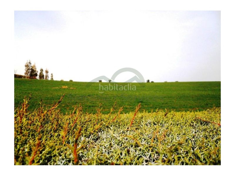 Foto a70c82fc-6c82-4035-85b6-bb54b58cde89. Terreny residencial a Arriate