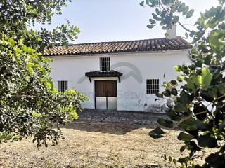 Masia a Gaucín. Olivar ecologicocortijosuelo urbanizable 13.6 hectareas