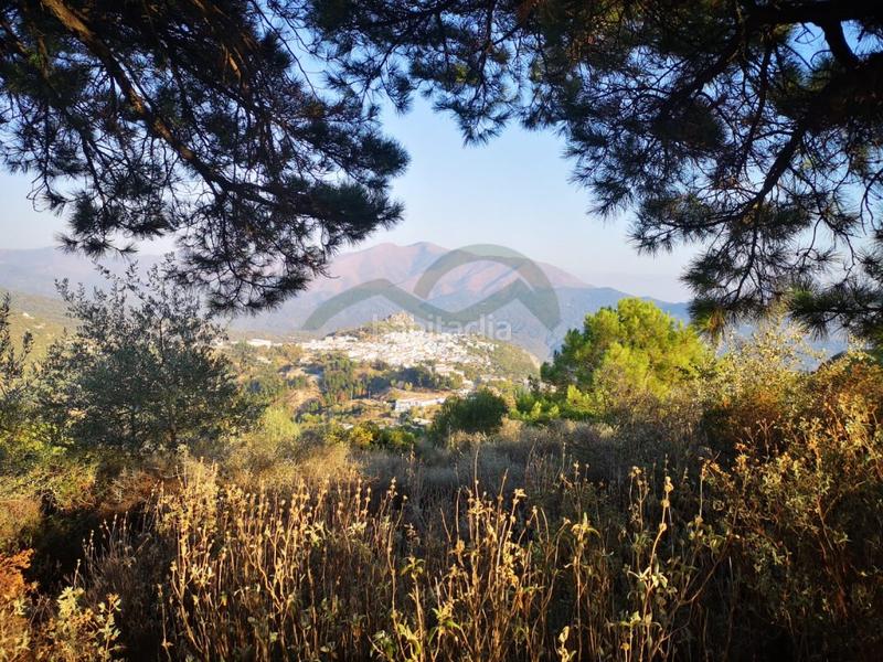 Foto 390f62b9-51d9-4b9e-a64a-055205aa0b55. Masia a Gaucín